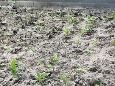 �������� ������: � ������� �������� ������ � ������ ��������� ��������� ������� ����������, ������������ ������ ���������-���������� ���������� �������� �������, �� ���������� ������ ������� ���������� �������� �����������...