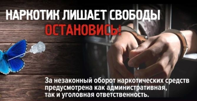 ���������� ���������-�������� �������� ����� 11 ��� � �������������� ������� ������ ������ �� ���������� ���� ������������� �������