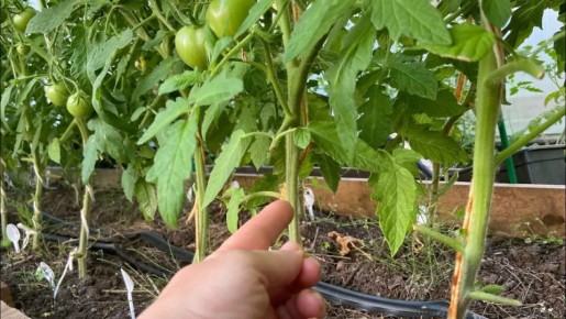 ��� ��������� ����� ���������� ������� ������ ������� �� ���������