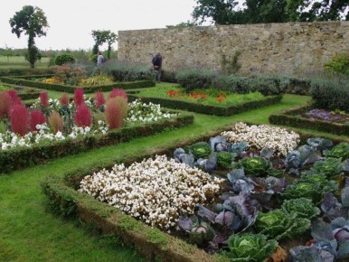 ��� �������� �������� � ����: ������� � �������������� ������������ ���������