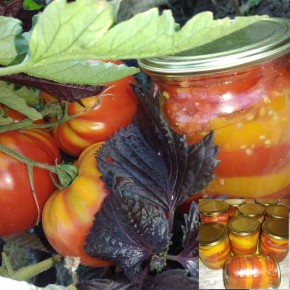 ������������ ���������: ������ �� ����, ������� �������� ��������