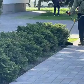 ���������� ����������� � ������ ��������� ��������� ������� ���������� �������������� � ���������� ������ � �������� � ���� ������ ���� ����� �� ������ � ��������������� ����������