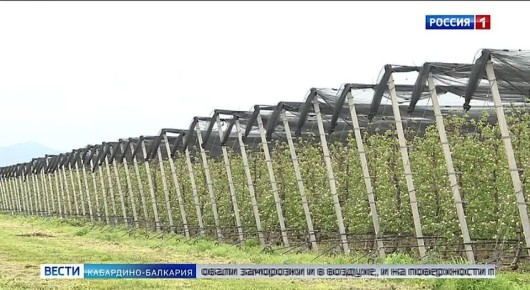 � ���������-�������� ������ �����������, �������� � ��������������