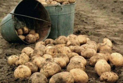 �������� �� ��������: ������ ������ ��������� �� ������?