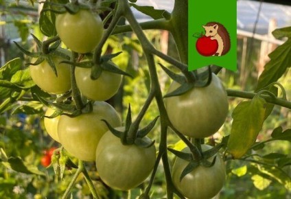 ��� ��������� ������� ������ �� ������ � ���� ������ � ������� ��������� ������