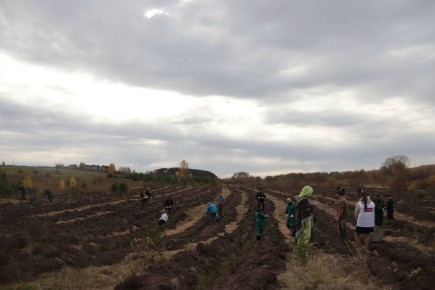 �� ������� ������� �������� 8000 �������� ���� � ���