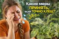 ��� ���������� ���������� � ��������� ������ �� ��������� ���������