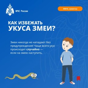 ��� ���������-��������. ����� ���� �������� �� ���������� ���������� ��������