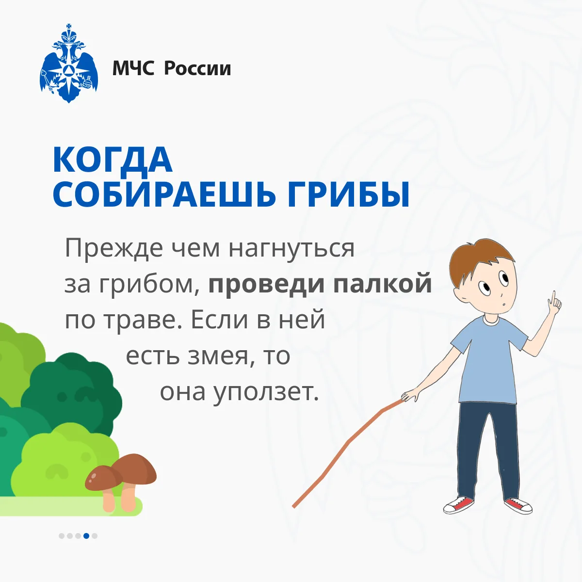 МЧС Кабардино-Балкарии. Чтобы ваша прогулка не омрачилась неприятной встречей МЧС Кабардино-Балкарии. Чтобы ваша прогулка не омрачилась неприятной встречей