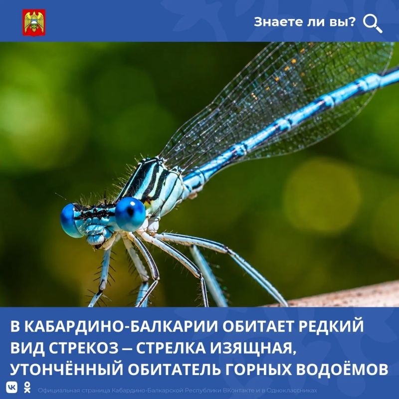 В Кабардино-Балкарской Республике продолжается последовательная работа по охране окружающей среды и сохранению биоразнообразия