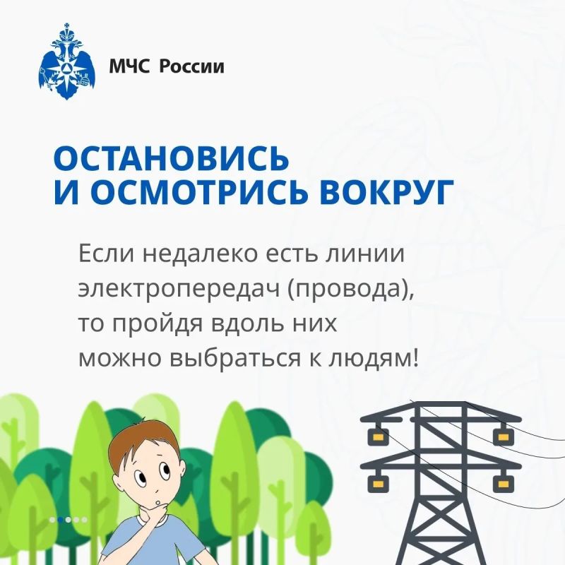 Совсем скоро погода наладится и будет возможность прогуляться по лесу Совсем скоро погода наладится и будет возможность прогуляться по лесу