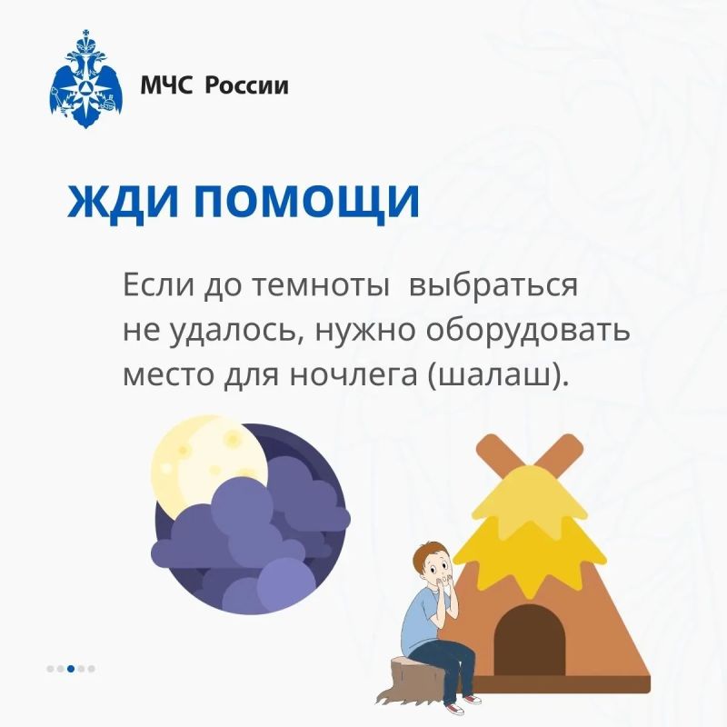 Совсем скоро погода наладится и будет возможность прогуляться по лесу Совсем скоро погода наладится и будет возможность прогуляться по лесу