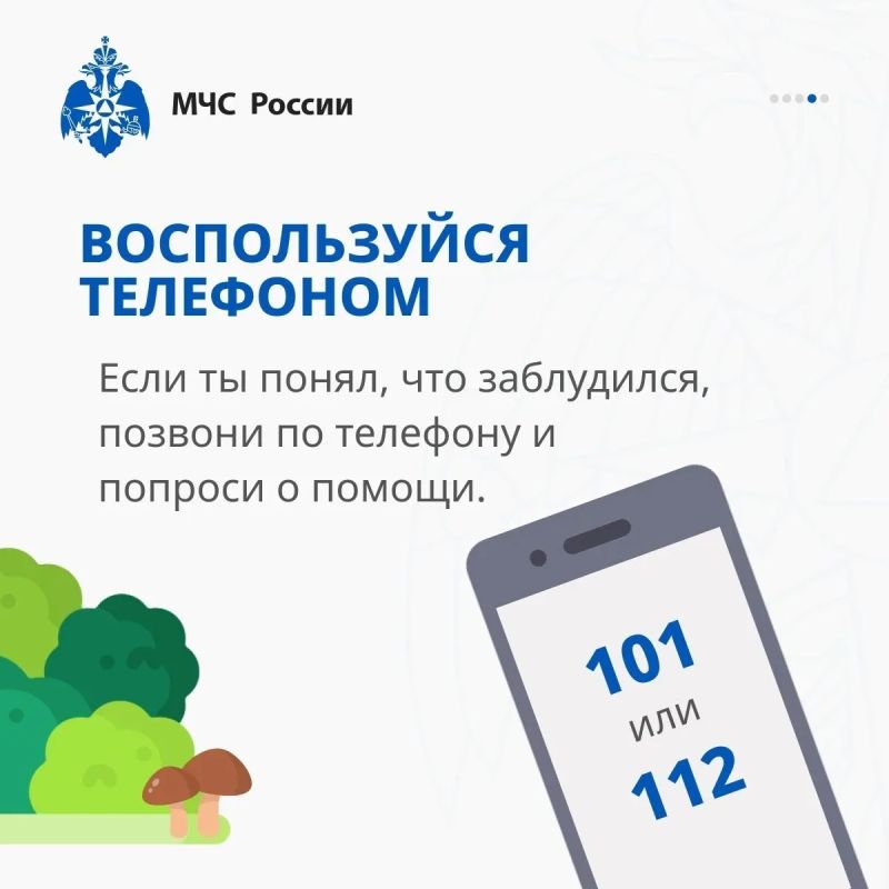 Совсем скоро погода наладится и будет возможность прогуляться по лесу Совсем скоро погода наладится и будет возможность прогуляться по лесу