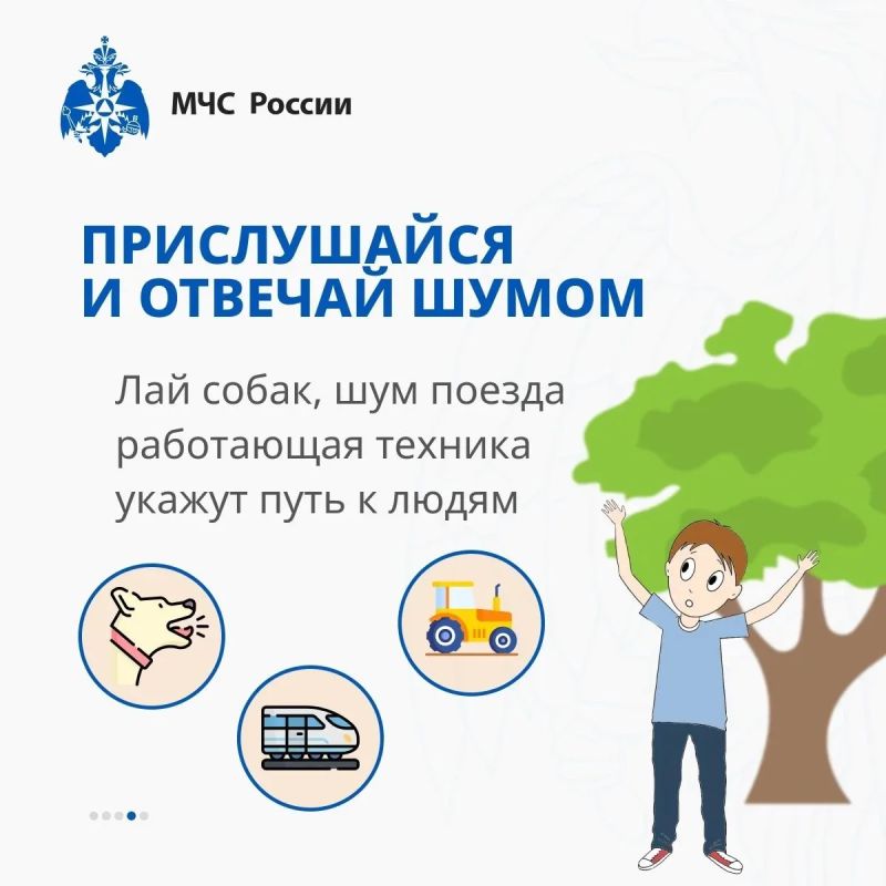 Совсем скоро погода наладится и будет возможность прогуляться по лесу Совсем скоро погода наладится и будет возможность прогуляться по лесу