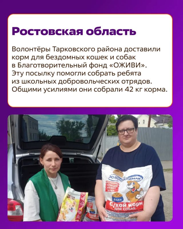#ДобраяСреда: новости Добро.Центров и Ресурсных центров #ДобраяСреда: новости Добро.Центров и Ресурсных центров