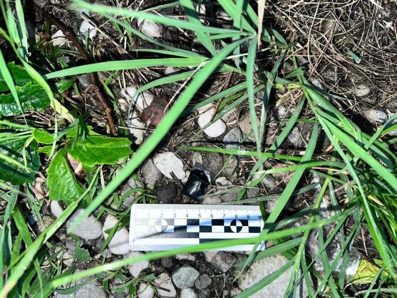 Полицейские Нальчика изъяли крупную партию синтетики у приезжей из Тюмени Полицейские Нальчика изъяли крупную партию синтетики у приезжей из Тюмени