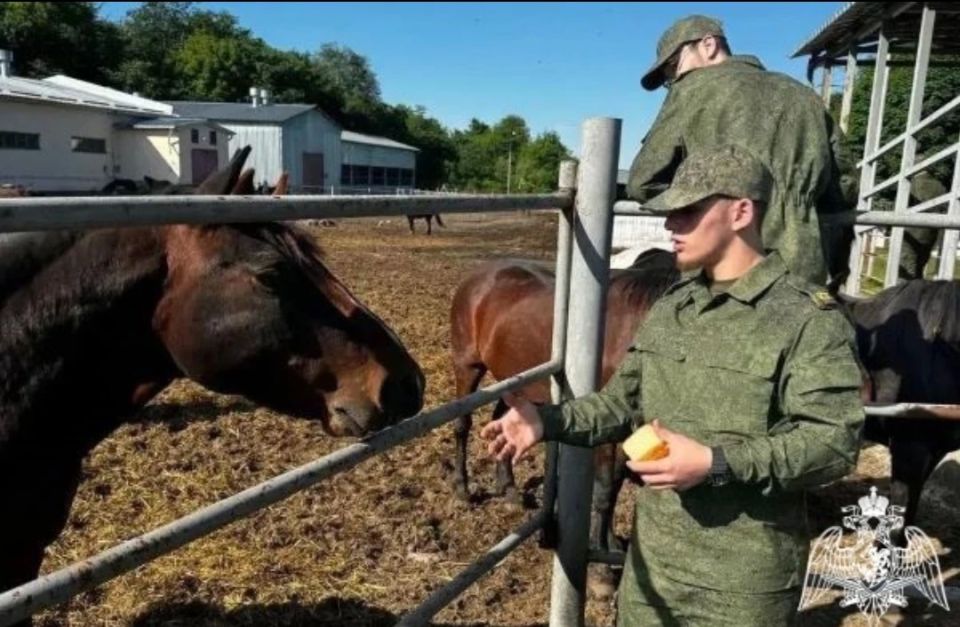 Акция «Один день с Роcгвардией» состоялась в Кабардино-Балкарии Акция «Один день с Роcгвардией» состоялась в Кабардино-Балкарии