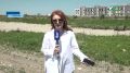 В Баксане детский сад на улице Победы откроется первого сентября - сейчас там идет капитальный ремонт