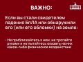 ��������! �� ���������� ���������-�������� ��������� ����������� ���������