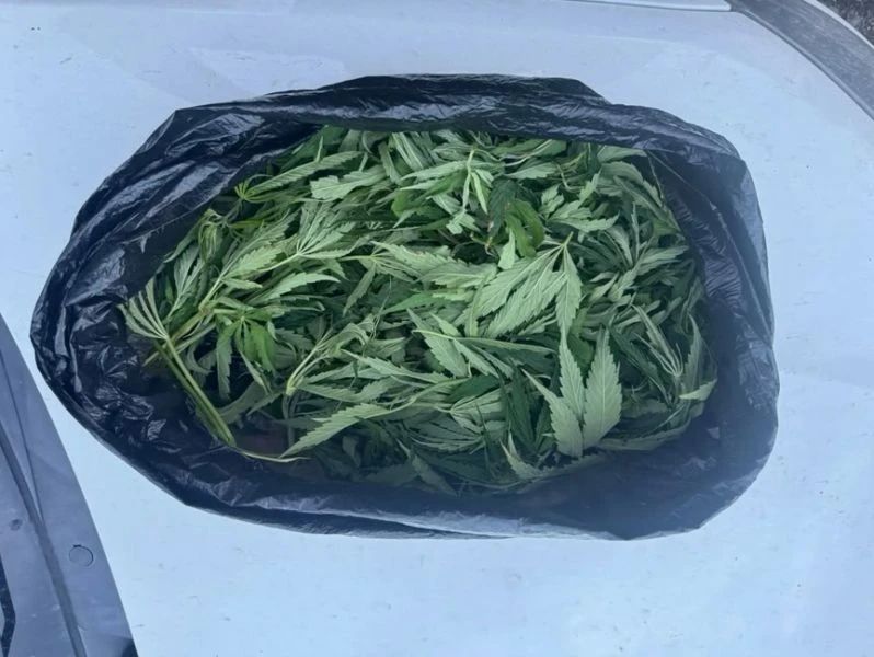 Полицейские Кабардино-Балкарии пресекли три факта незаконного хранения наркотиков Полицейские Кабардино-Балкарии пресекли три факта незаконного хранения наркотиков