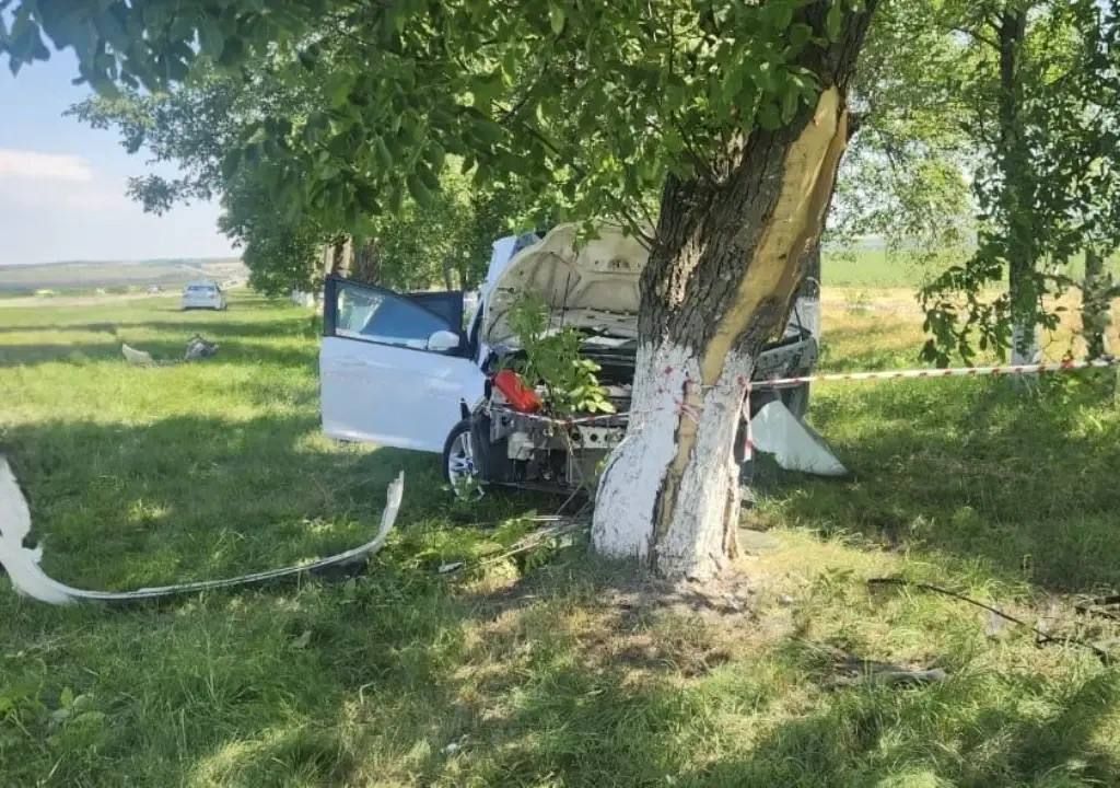 Полицейские Кабардино-Балкарии выясняют обстоятельства ДТП в Зольском районе Полицейские Кабардино-Балкарии выясняют обстоятельства ДТП в Зольском районе