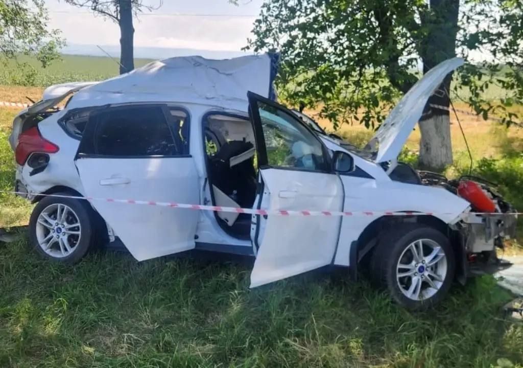 Полицейские Кабардино-Балкарии выясняют обстоятельства ДТП в Зольском районе Полицейские Кабардино-Балкарии выясняют обстоятельства ДТП в Зольском районе