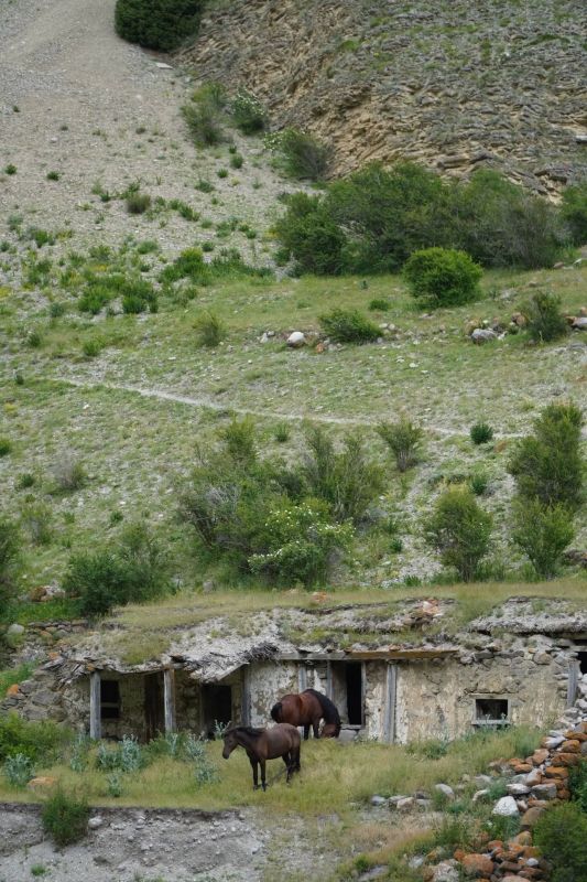 Активисты клуба РГО «Горные люди» КБГУ приняли участие в походе ко Дню семьи, любви и верности Активисты клуба РГО «Горные люди» КБГУ приняли участие в походе ко Дню семьи, любви и верности