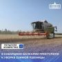 Вслед за ячменем и рапсом земледельцы Кабардино-Балкарии приступили к уборке озимой пшеницы, которая занимает 44,6 тыс