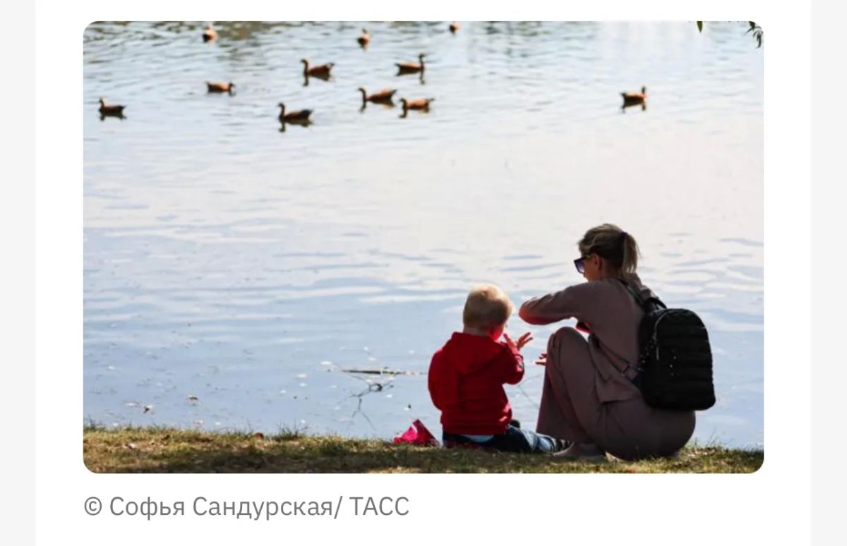 В России предложили платить неработающим матерям "родительскую зарплату"