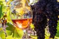 Донские виноделы восхищают международное сообщество на TERRAVINO-2026