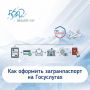 ����� 8500 ������� ���������-�������� �������� ������������� �� ���������� � 2026 ����