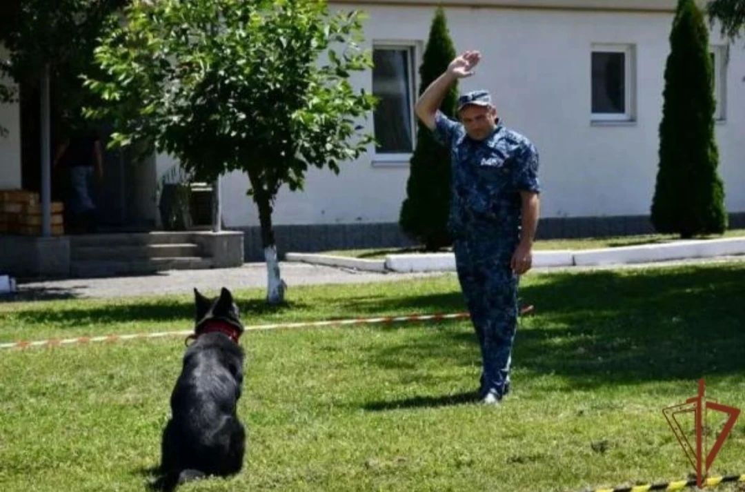 В Кабардино-Балкарии кинологи Росгвардии приняли учаастие в межведомственных тренировочных занятиях В Кабардино-Балкарии кинологи Росгвардии приняли учаастие в межведомственных тренировочных занятиях