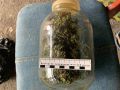 В Майском районе оперативники изъяли у местного жителя более 120 граммов марихуаны