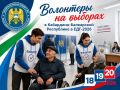 Помощь на выборах в КБР! Присоединяйтесь к проекту «Волонтеры на выборах»