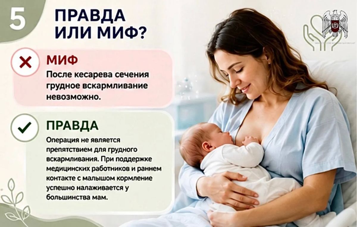 Развеиваем мифы и рассказываем правду о грудном вскармливании Развеиваем мифы и рассказываем правду о грудном вскармливании