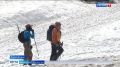 Сменить прогулку в парке на отдых на природе с познанием окружающего мира