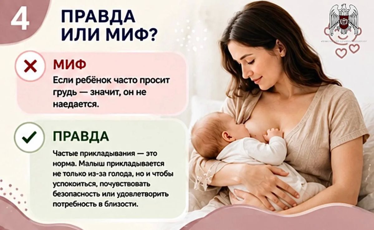 Развеиваем мифы и рассказываем правду о грудном вскармливании Развеиваем мифы и рассказываем правду о грудном вскармливании