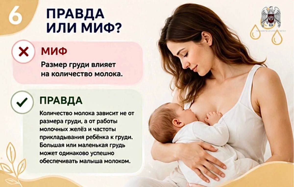 Развеиваем мифы и рассказываем правду о грудном вскармливании Развеиваем мифы и рассказываем правду о грудном вскармливании