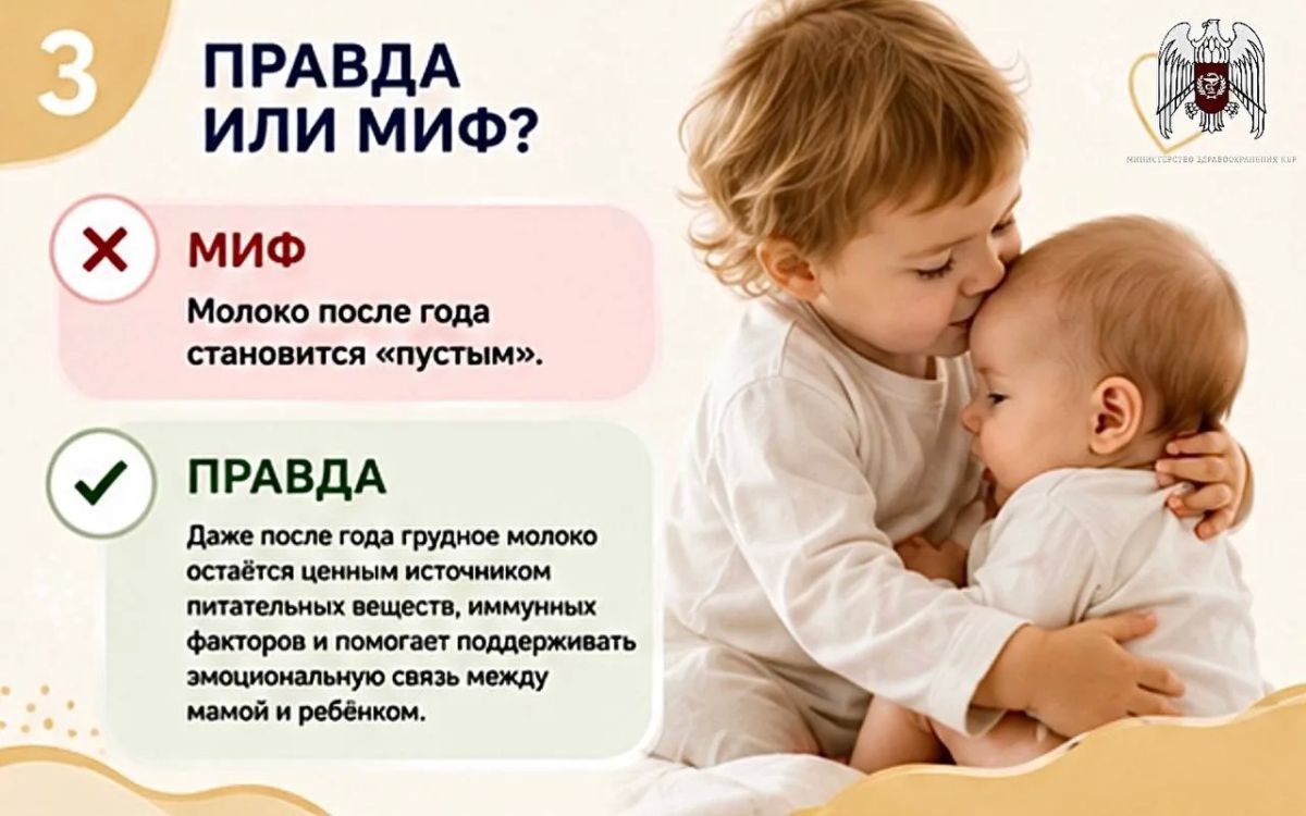 Развеиваем мифы и рассказываем правду о грудном вскармливании Развеиваем мифы и рассказываем правду о грудном вскармливании