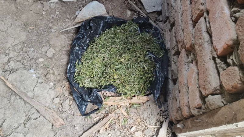 ПОЛИЦЕЙСКИЕ КАБАРДИНО-БАЛКАРИИ ИЗЪЯЛИ СВЫШЕ 1,3 КИЛОГРАММА НАРКОТИЧЕСКИХ СРЕДСТВ У МЕСТНЫХ ЖИТЕЛЕЙ ПОЛИЦЕЙСКИЕ КАБАРДИНО-БАЛКАРИИ ИЗЪЯЛИ СВЫШЕ 1,3 КИЛОГРАММА НАРКОТИЧЕСКИХ СРЕДСТВ У МЕСТНЫХ ЖИТЕЛЕЙ