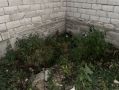 ПОЛИЦЕЙСКИЕ КАБАРДИНО-БАЛКАРИИ ИЗЪЯЛИ СВЫШЕ 1,3 КИЛОГРАММА НАРКОТИЧЕСКИХ СРЕДСТВ У МЕСТНЫХ ЖИТЕЛЕЙ