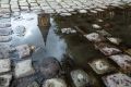 Доброе утро! Зонты пригодятся до второй половины дня: какая погода ждёт Калининград 20 августа