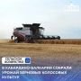 Аграрии Кабардино-Балкарии завершили уборку зерновых колосовых культур, которые были засеяны на общей площади 71 тыс