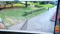 � �������� ����������� �������� ������ �������� �������, ��������������� ��� �������������������
