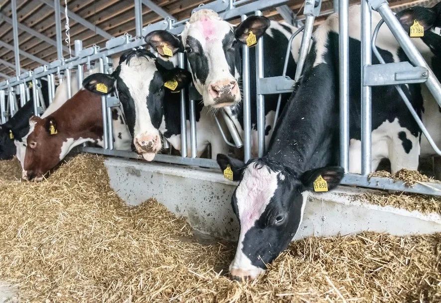 В Кабардино-Балкарии объем выпуска сельхозпродукции вырос на 2,3%