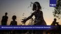 #Прямосейчас Региональный информационный центр "ТАСС Кавказ" в Пятигорске проводит пресс-конференцию, посвященную реализации проектов Росдетцентра на Северном Кавказе в новом учебном году