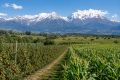 Сельхозпроизводство в Кабардино-Балкарии превысило 30 миллиардов рублей