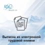 Как получить выписку из электронной трудовой книжки