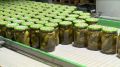 В КабардиноБалкарии наращивают выпуск консервированных огурцов