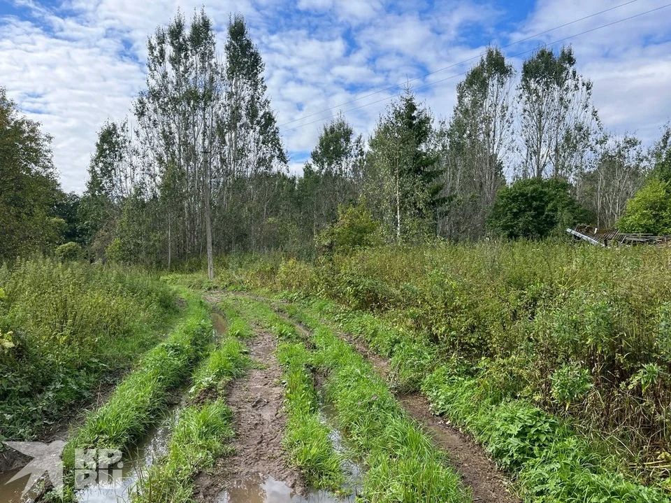Жители исчезали по одному, село опустело за год: обозреватель “КП” Владимир Ворсобин побывал в псковской Деревне мертвецов, где тихо орудовала женщина-маньяк Жители исчезали по одному, село опустело за год: обозреватель “КП” Владимир Ворсобин побывал в псковской Деревне мертвецов, где тихо орудовала женщина-маньяк